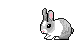 rabbit2.gif (7174 bytes)