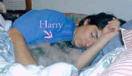 harry_me_sleeping.jpg (15782 bytes)