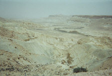 israel_negev.jpg (39577 bytes)